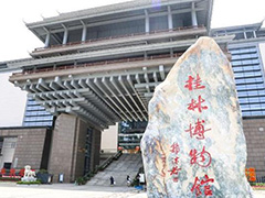 2023年学习贯彻党的二十大精神-5天课程