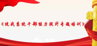 统战系统干部能力提升培训